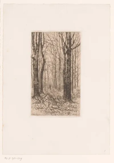 Figuur in een bos met hoge, kale bomen
