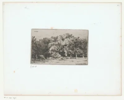 Figuur met koe aan de rand van het Forêt de Fontainebleau