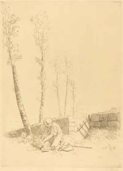 Finding the Sheep