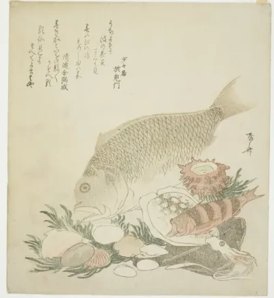 Fish and shells