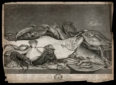 Fish, eels, shellfish and crustaceans (22 different varieties), lying dead on a table and in baskets