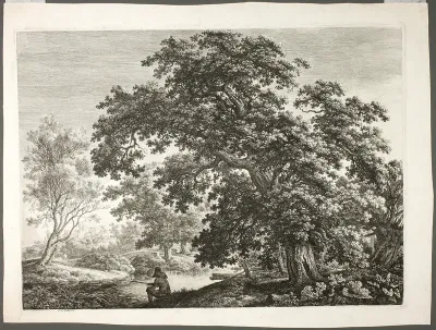 Fisherman in Wooded Landscape