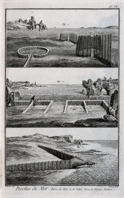Fishing: structures designed to trap fish brought in by the tides