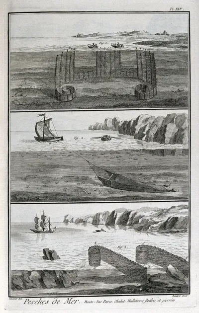 Fishing: three different designs of net