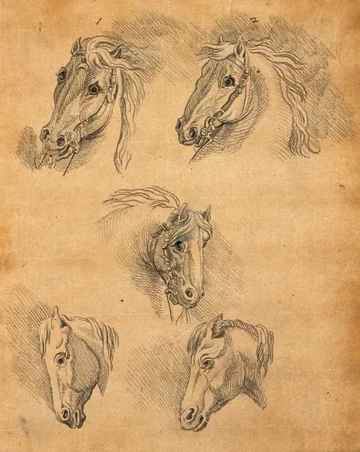 Five heads of horses