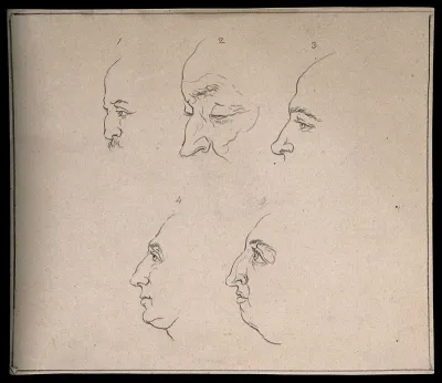 Five profiles exhibited for their noses