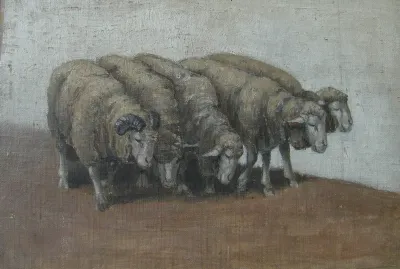 Five sheep