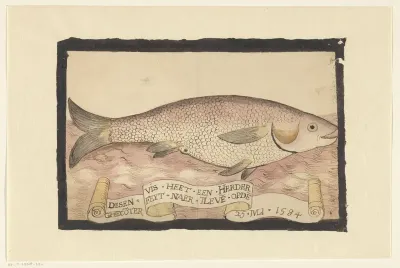 Flathead grey mullet