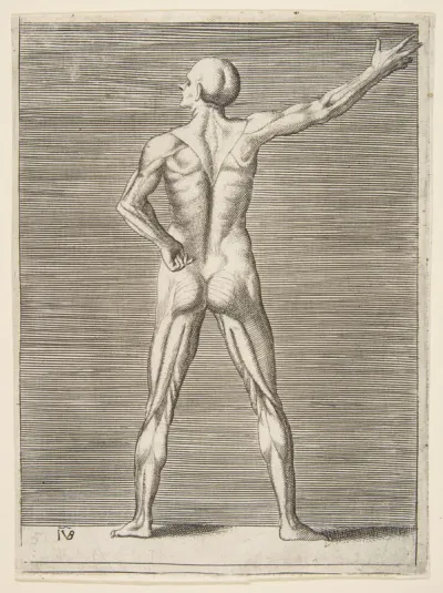 Flayed man seen from behind, his right arm extended