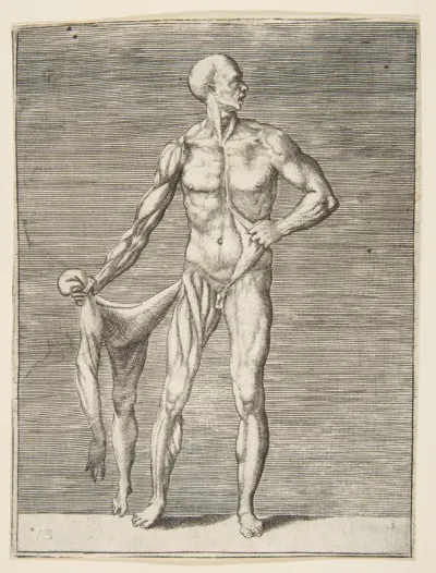 Flayed man seen from the front, holding the skin of his right arm and leg