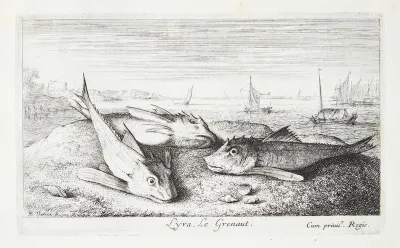Fløjfisk (Lyra)