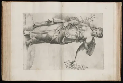 Flora