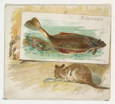 Flounder, from Fish from American Waters series (N39) for Allen & Ginter Cigarettes