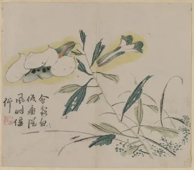 Flowering Lily