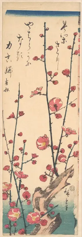 Flowering Plum Tree