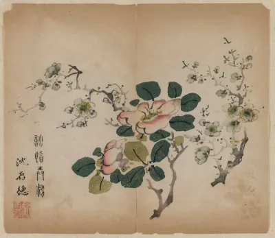 Flowering Prunus