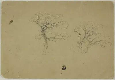 Flowering Trees
