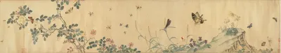 Flowers and Insects