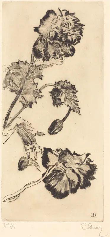 Flowers (Fleurs)