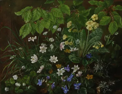 Flowers in the forest floor.