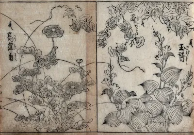 Flowers. Woodcut, 18--