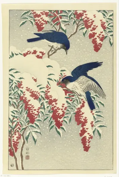 Flycatchers on snow-covered nandin bush