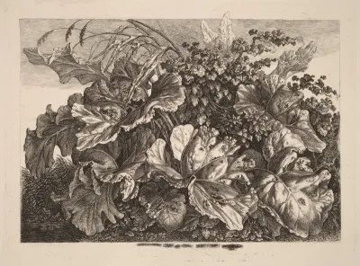 Foliage Study with Reed and Hops