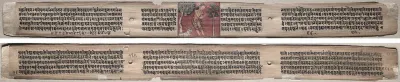 Folio 115 from a Gandavyuha-sutra (Scripture of the Supreme Array): Sudhana and a buffalo (recto); text (verso)