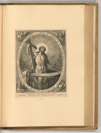Fons Vitae