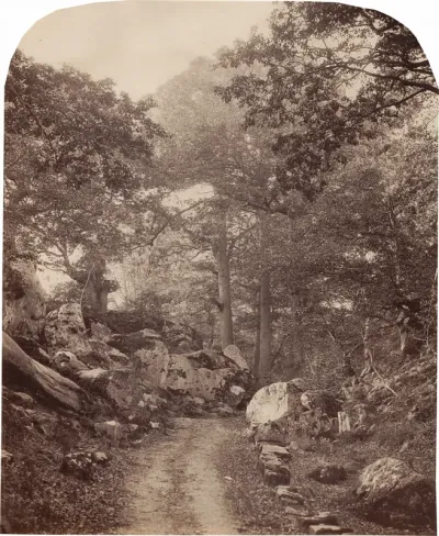 Fontainebleau