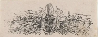 Fontein te midden van planten