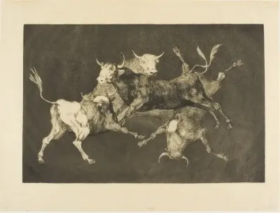 Fool’s Folly, from Disparates