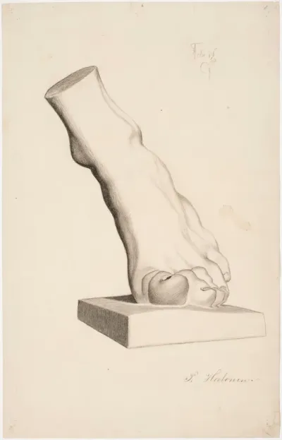 Foot, Plaster Cast