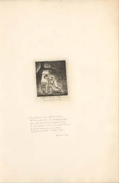 For the Sexes. The Gates of Paradise, Plate 3, I found him beneath a Tree