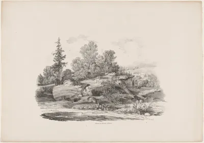 Forest Clearing with an Oak Trunk