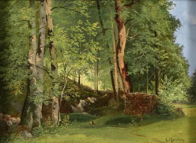 Forest clearing