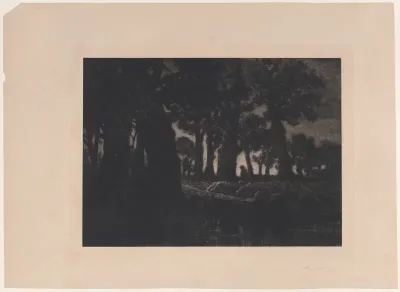 Forest Edge at Twilight