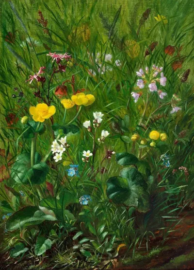 Forest floor in Englund