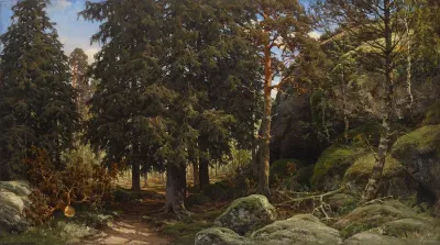Forest Interior