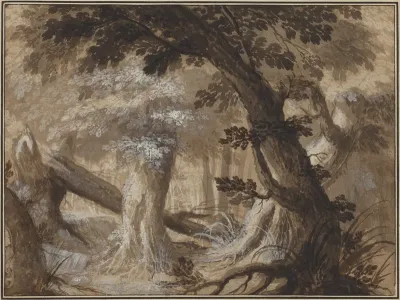 Forest Interior