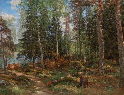 Forest Interior, from Laajasalo, Helsinki