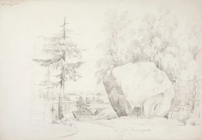 Forest Landscape