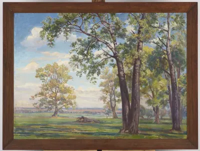 Forest Landscape