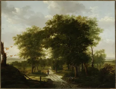 Forest landscape.