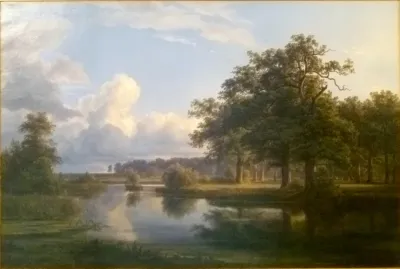 Forest landscape