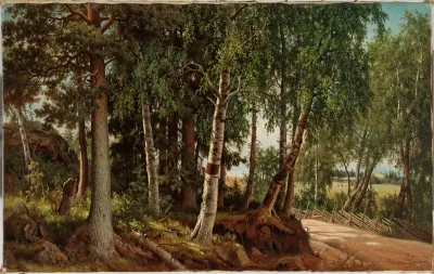 Forest Landscape from Haminalahti