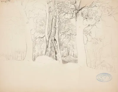 Forest Landscape from Lindö Estate in Tenhola