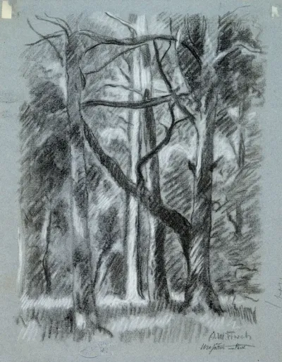Forest landscape from Urajärvi