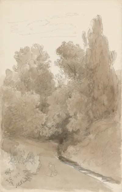 Forest Motif