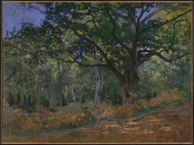 Forest of Fontainebleau